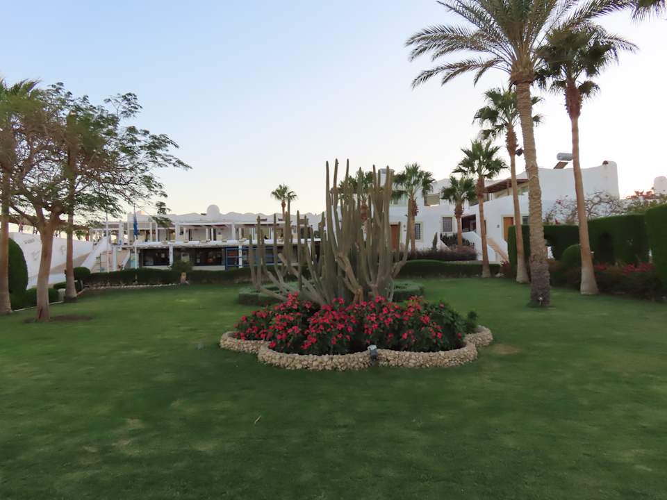 Gartenanlage Sharm Club Beach Resort