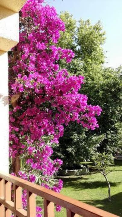 Beautiful!!! VONRESORT Golden Beach