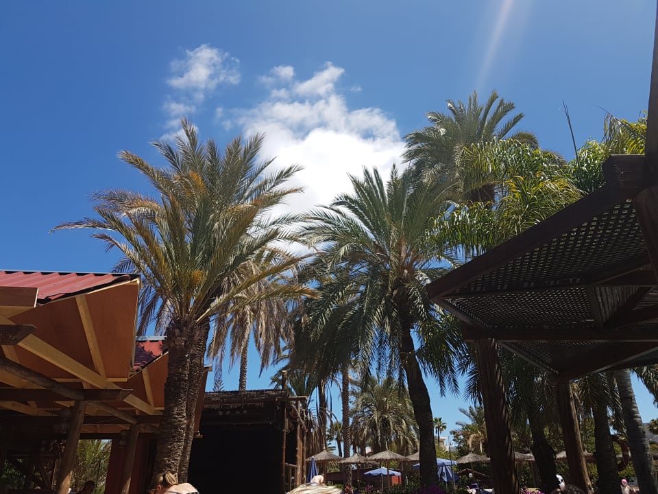 Garten HL Miraflor Suites Hotel