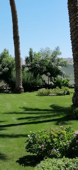 Gartenanlage Amarina Abu Soma Resort & Aquapark