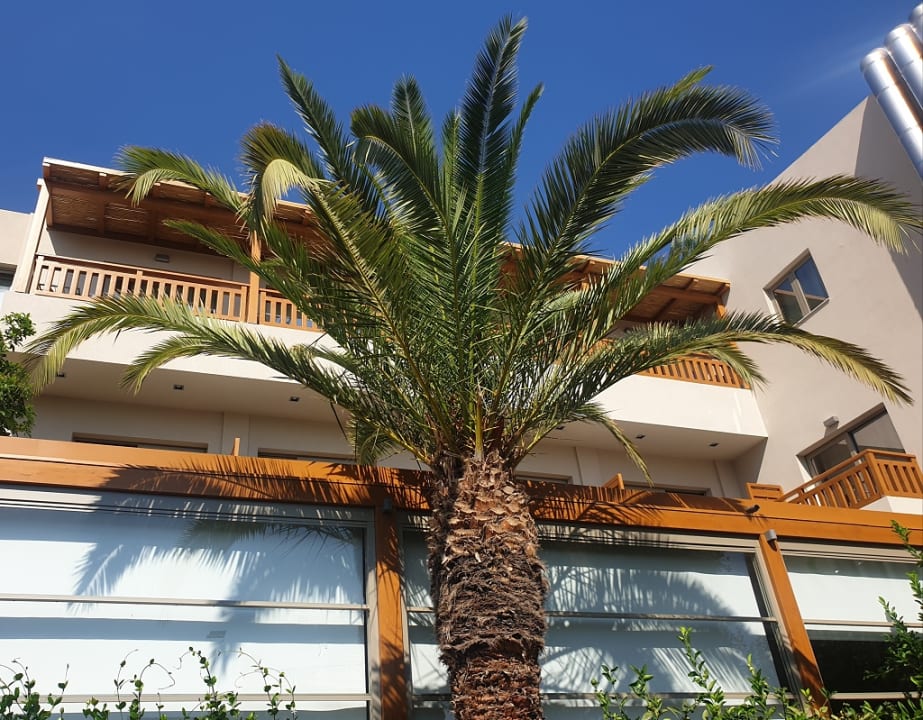 Ausblick Cactus Beach