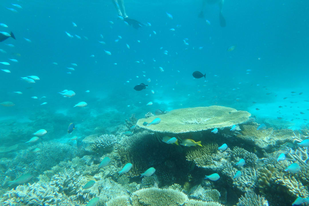 Hausriff Meeru Maldives Resort Island