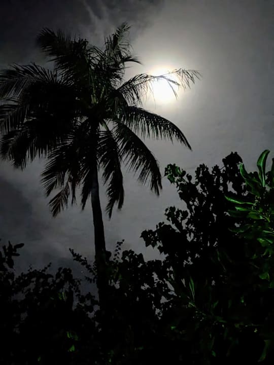 Ausblick Dreamland The Unique Sea & Lake Resort / Spa