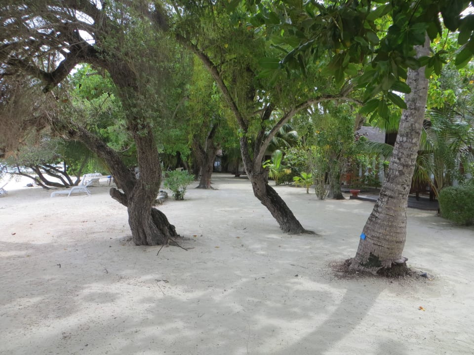 Spaziergang am Strand und den Beachvillen Adaaran Select Hudhuran Fushi - Premium All Inclusive