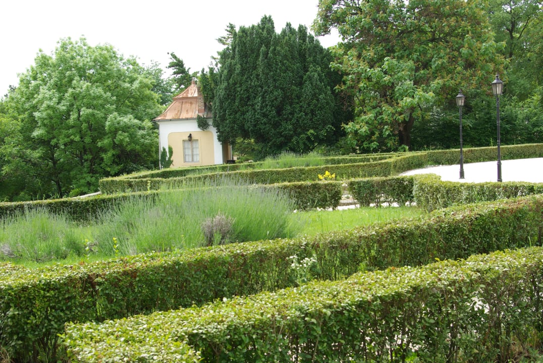 Hotel Schloss Teleki-Wattay Hotel Schloss Teleki-Wattay
