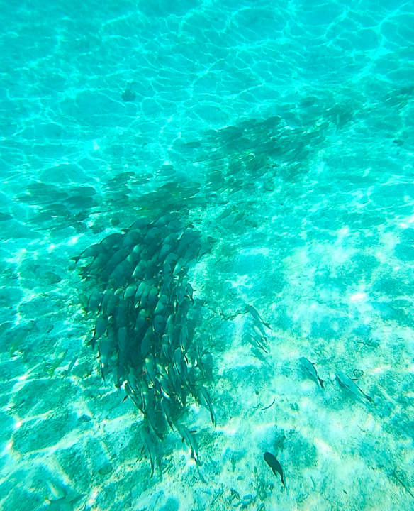 Strand Jawakara Islands Maldives