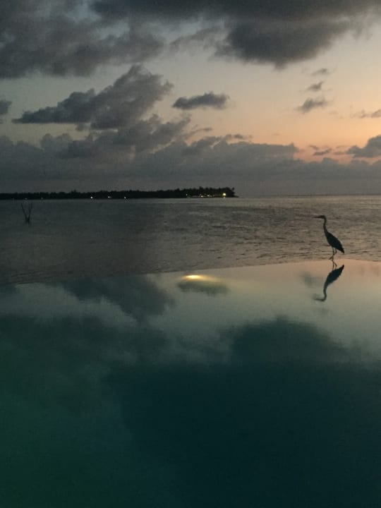 Ausblick Summer Island Maldives