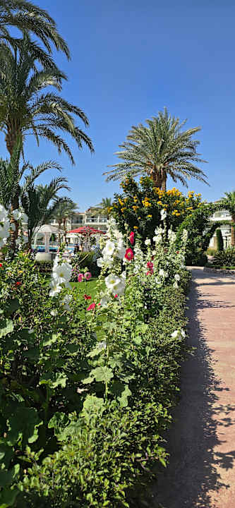 Gartenanlage Amarina Abu Soma Resort & Aquapark