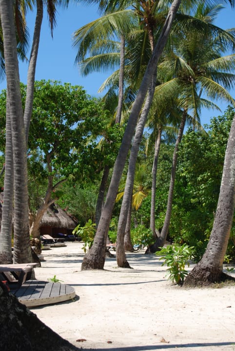 Bereich vor den Gartenbungalows Kuredu Island Resort & Spa