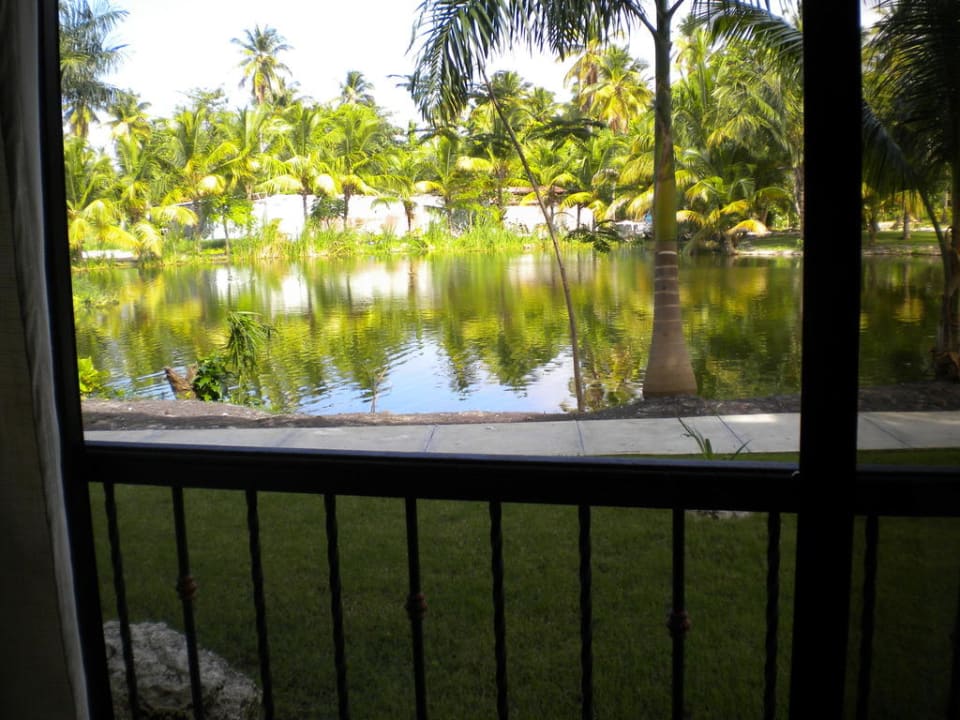 Zimmeraussicht Villas Bavaro Resort & Spa
