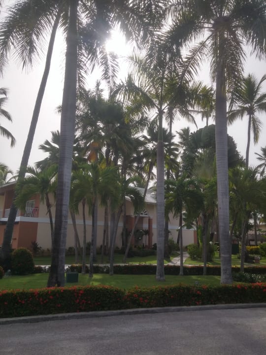 Gartenanlage Hotel Grand Palladium Palace Resort, Spa & Casino