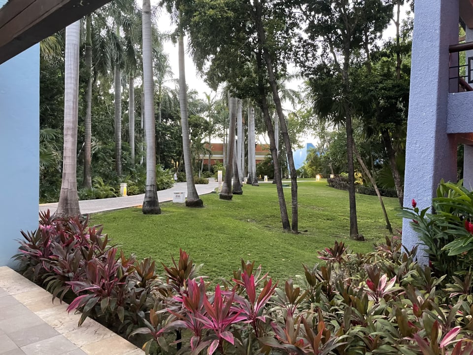 Außenansicht Iberostar Selection Paraiso Maya Suites