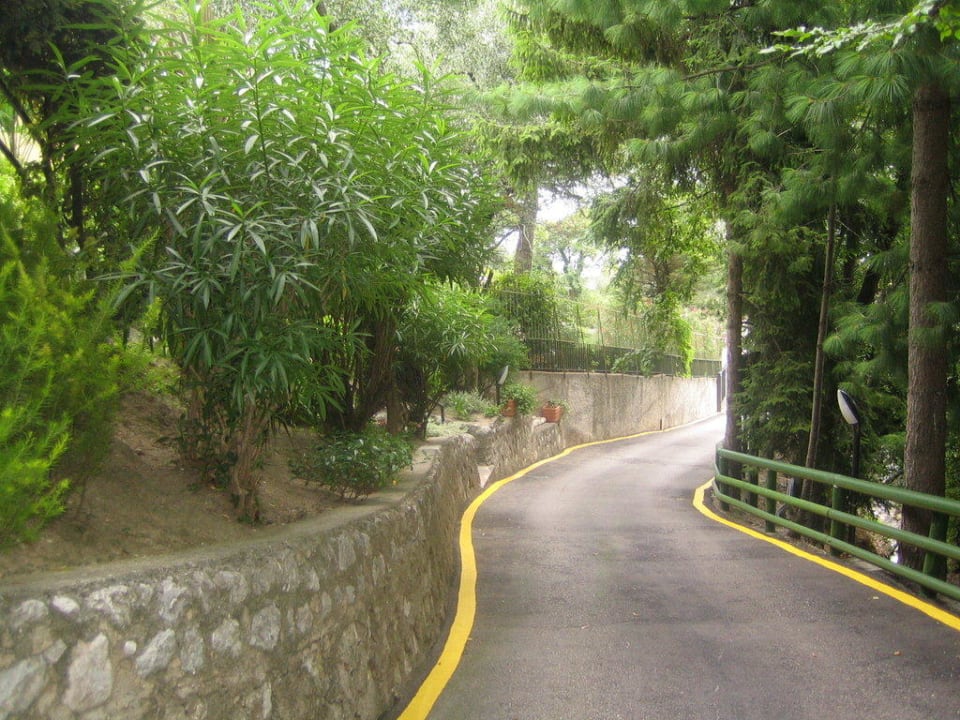 Auffahrt Relax Hotel Villa La Gardenia & Oleandra