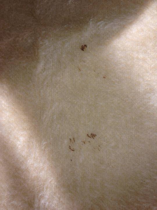 Wolldecke /Bett Le Jardin Aqua Park Resort