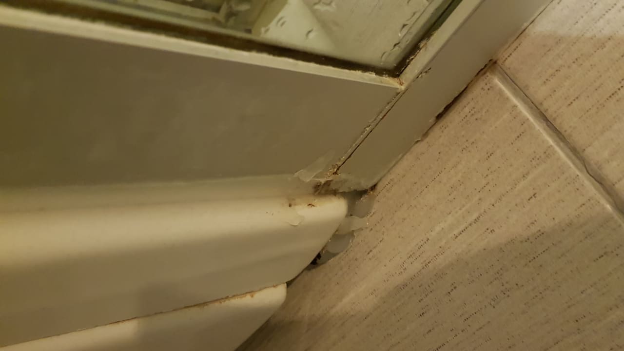 Zimmer Seaden Sea World Resort & Spa