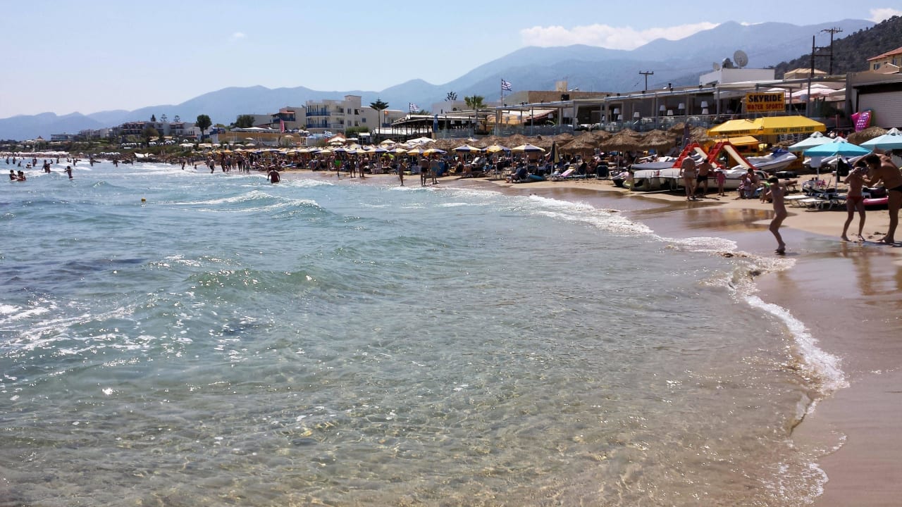 Strand ein Stück nach links Cactus Royal