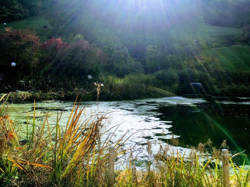 Gartenanlage Hotel Therme Bad Teinach