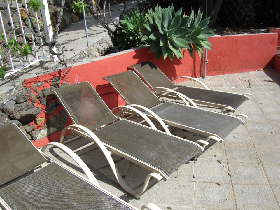 Sonnenliegen am Pool Finca La Paz