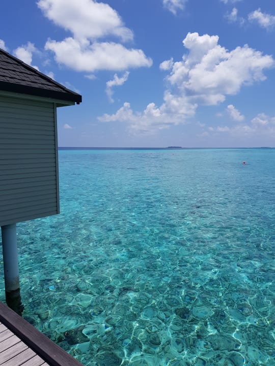 Bei den Wasserbungalows Summer Island Maldives
