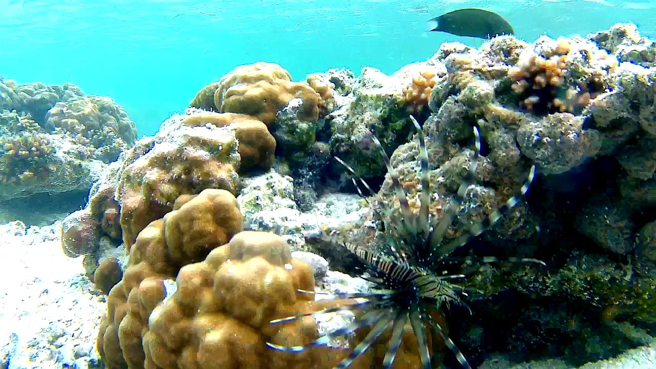 Sport & Freizeit Adaaran Select Hudhuran Fushi - Premium All Inclusive