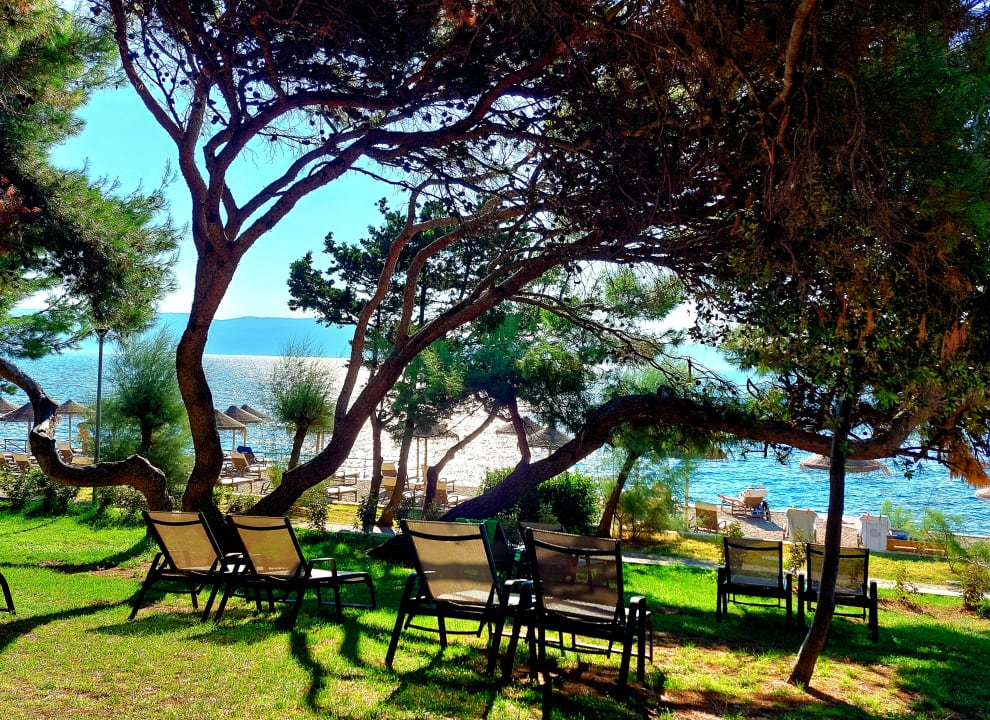 Gartenanlage Valamar Sanfior Hotel & Casa