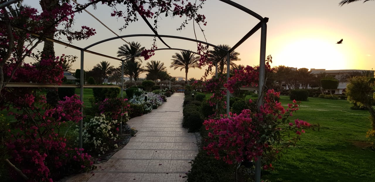 Außenansicht Hurghada Long Beach Resort