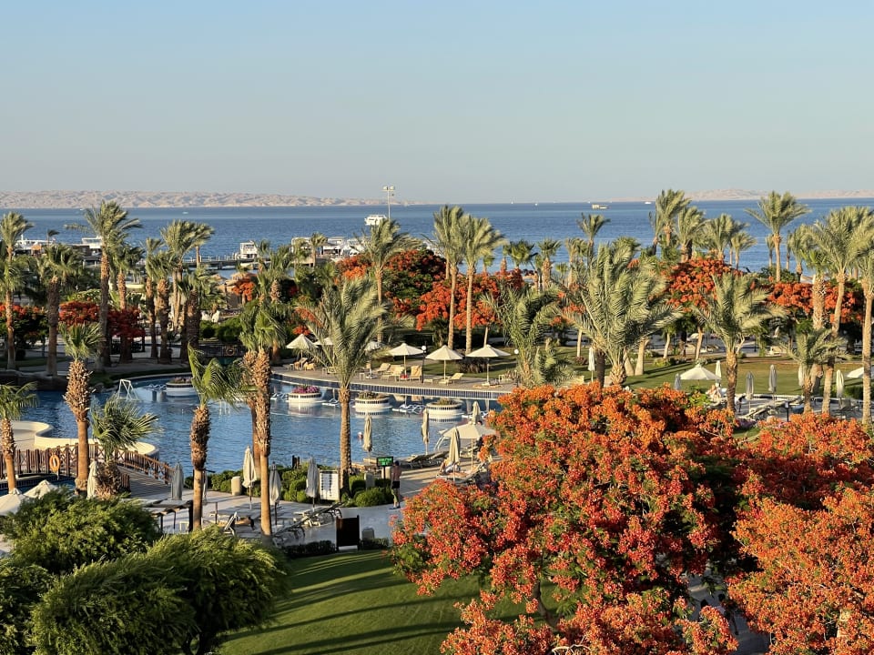 Gartenanlage Steigenberger ALDAU Beach Hotel