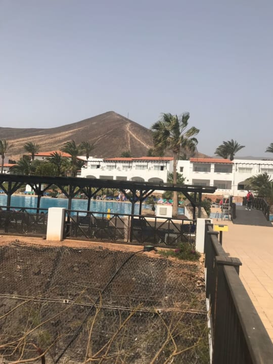 Ausblick TUI MAGIC LIFE Fuerteventura