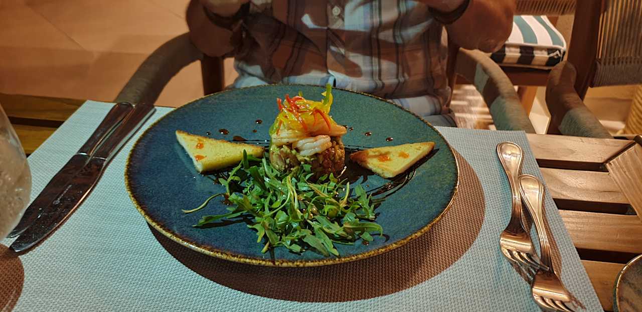 Gastro JAZ Elite Asteria