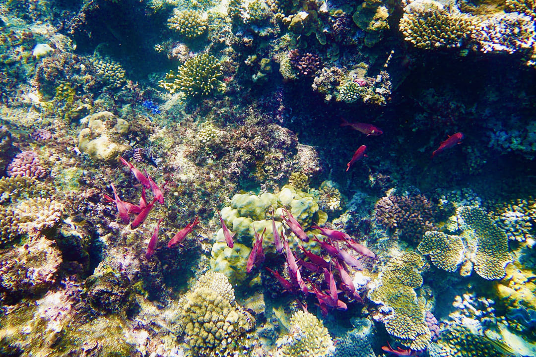 Strand Three Corners Sea Beach Resort