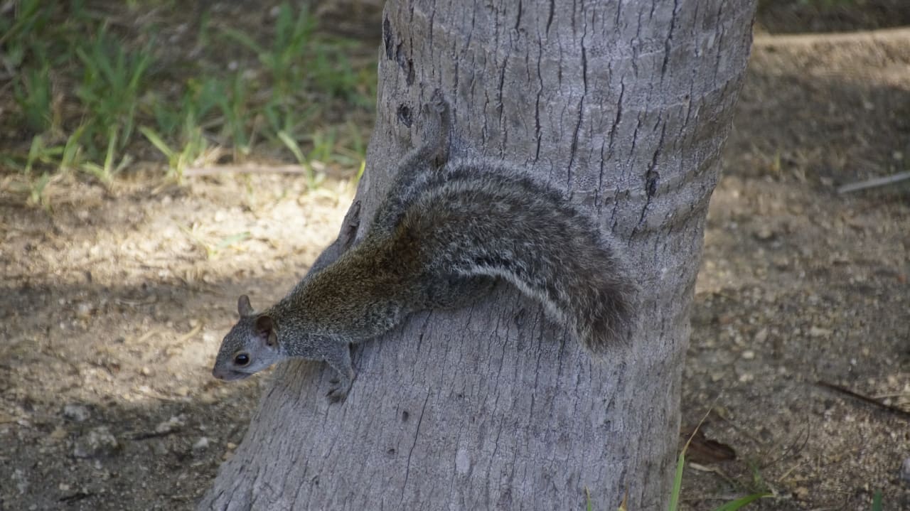 Sonstiges Akumal Bay Beach & Wellness Resort