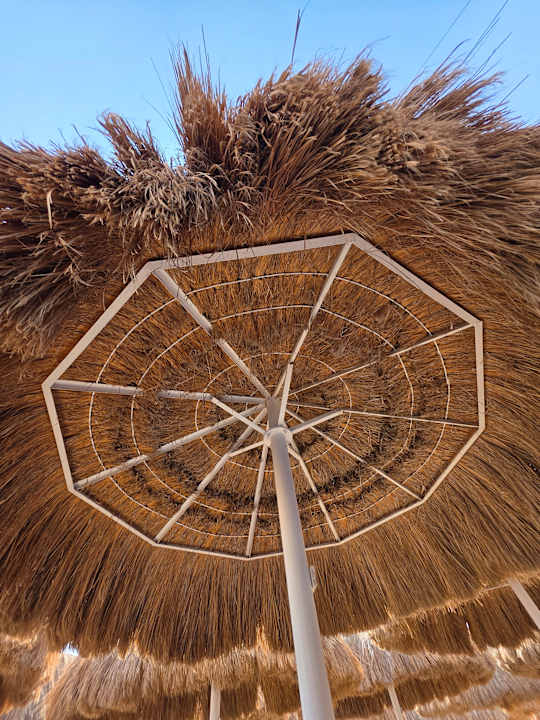 Strand Titanic Royal