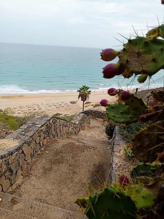 Strand Marina Playa Suite Hotel