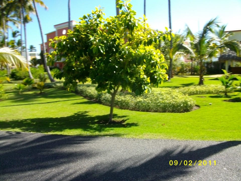 Spaziergang  Grand Palladium Select Bávaro Resort & Spa