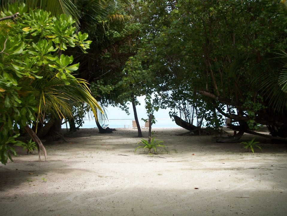 Von unserem Zimmer Meeru Maldives Resort Island