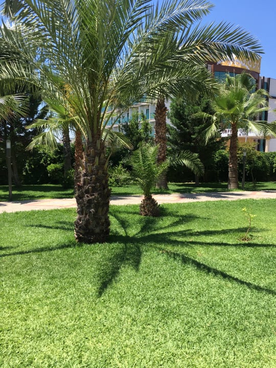 Gartenanlage Hotel Orfeus Park