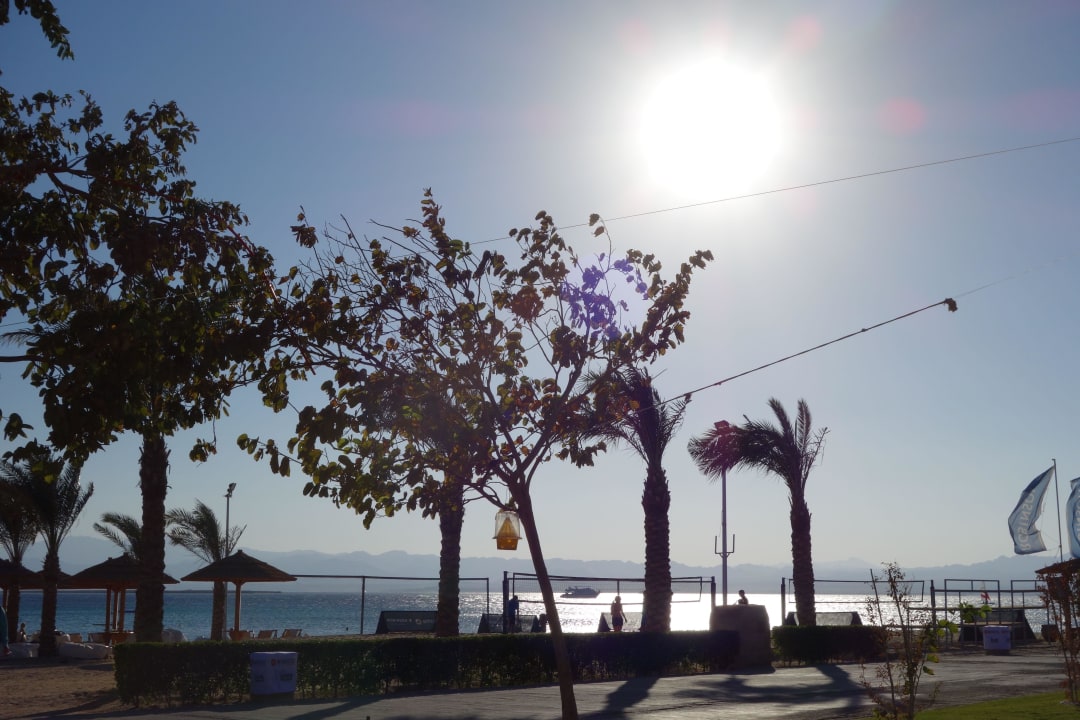 Beachvolleyball ROBINSON SOMA BAY