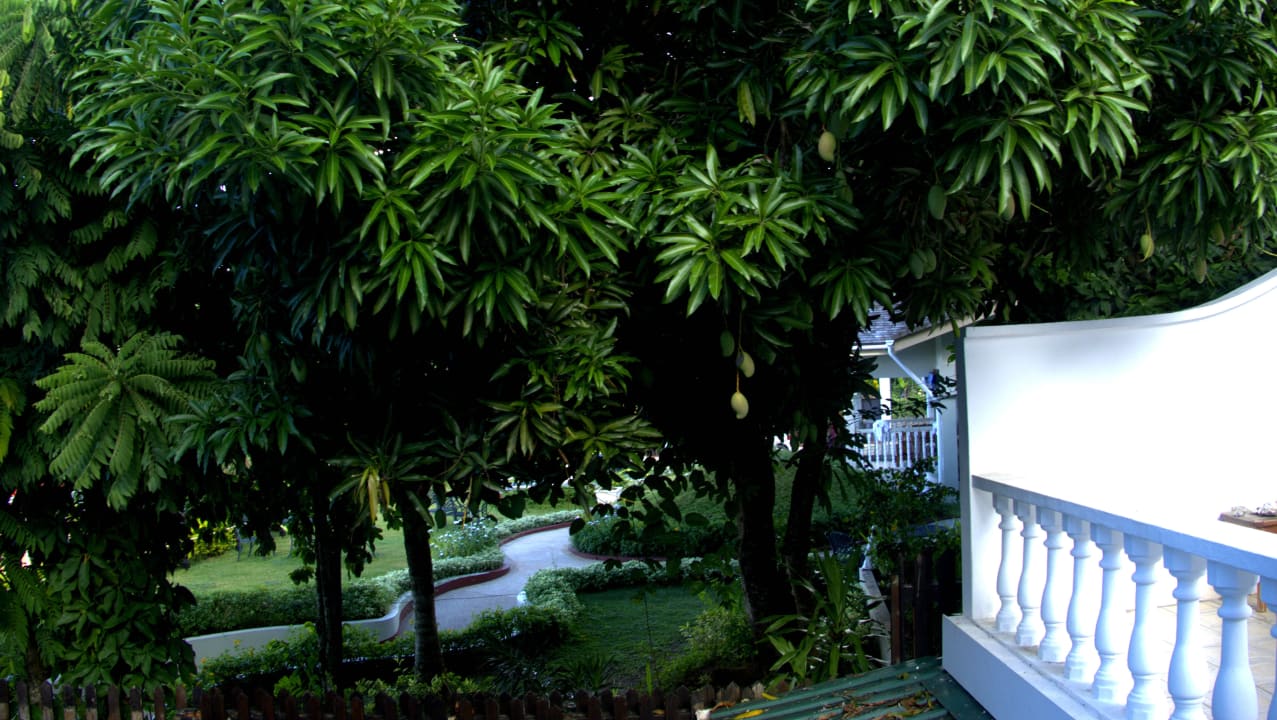 Le Relax /Mahe' Hotel Le Relax