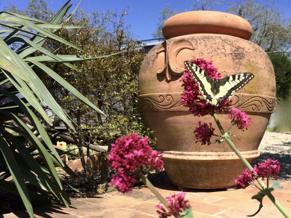 Gartenanlage Ventena Vecchia antico frantoio