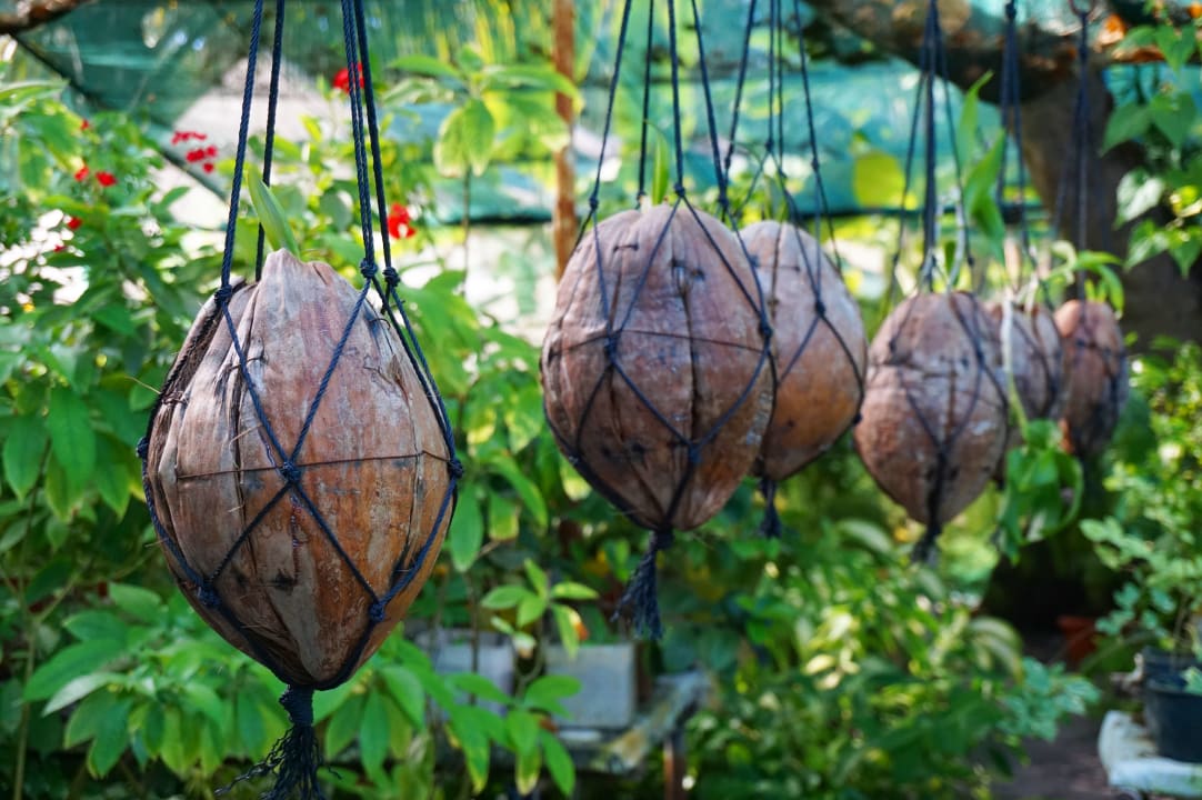 Gartenanlage Adaaran Select Hudhuran Fushi - Premium All Inclusive