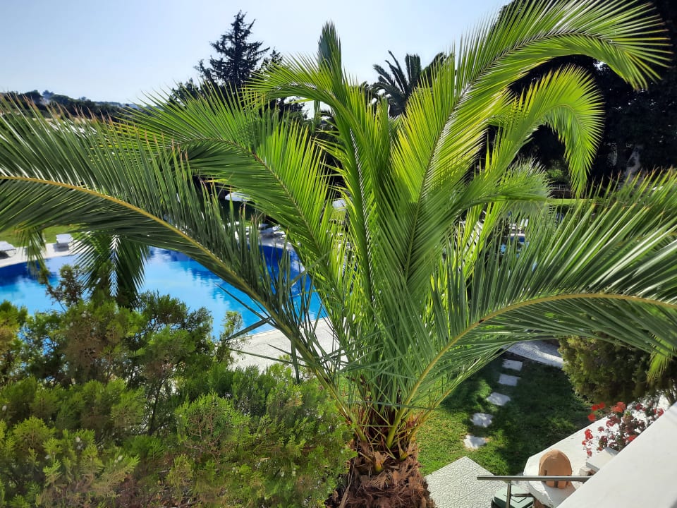 Pool Ekaterini Hotel