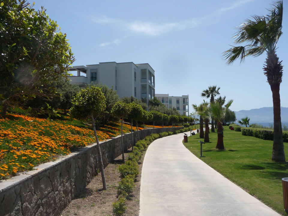 Details Xanadu Island Hotel