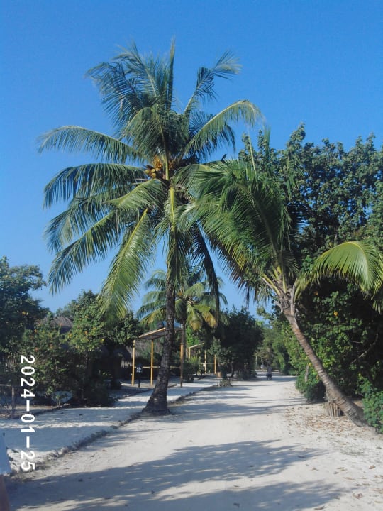 Unser Weg zum Essen Kuredu Island Resort & Spa