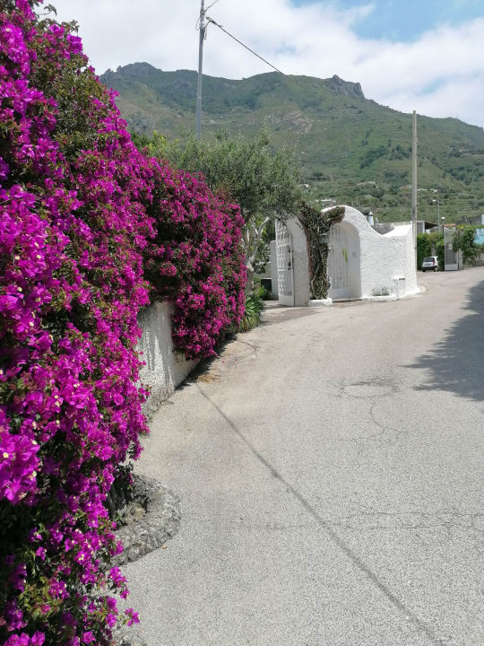 Außenansicht Hotel Paradiso Terme Resort & SPA