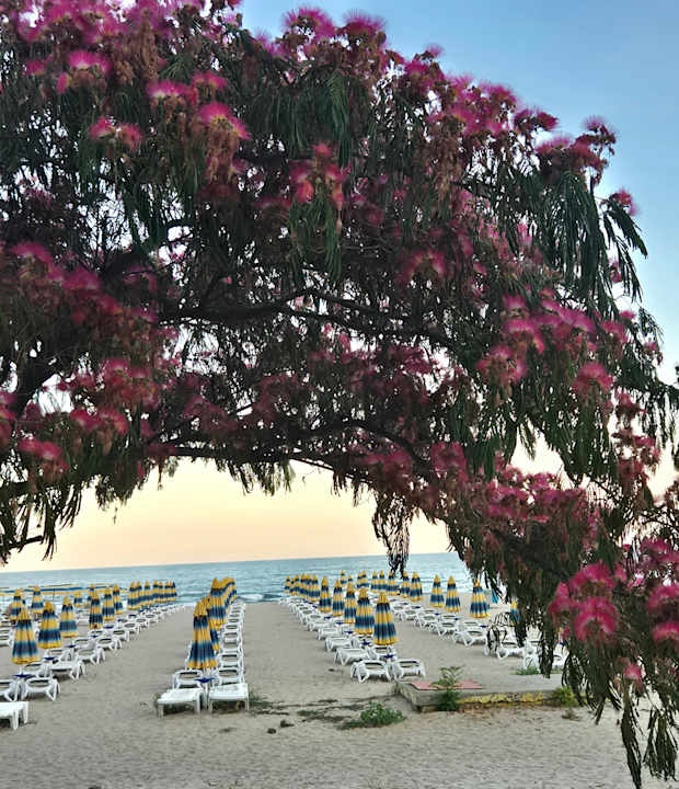 Strand Kaliakra Beach
