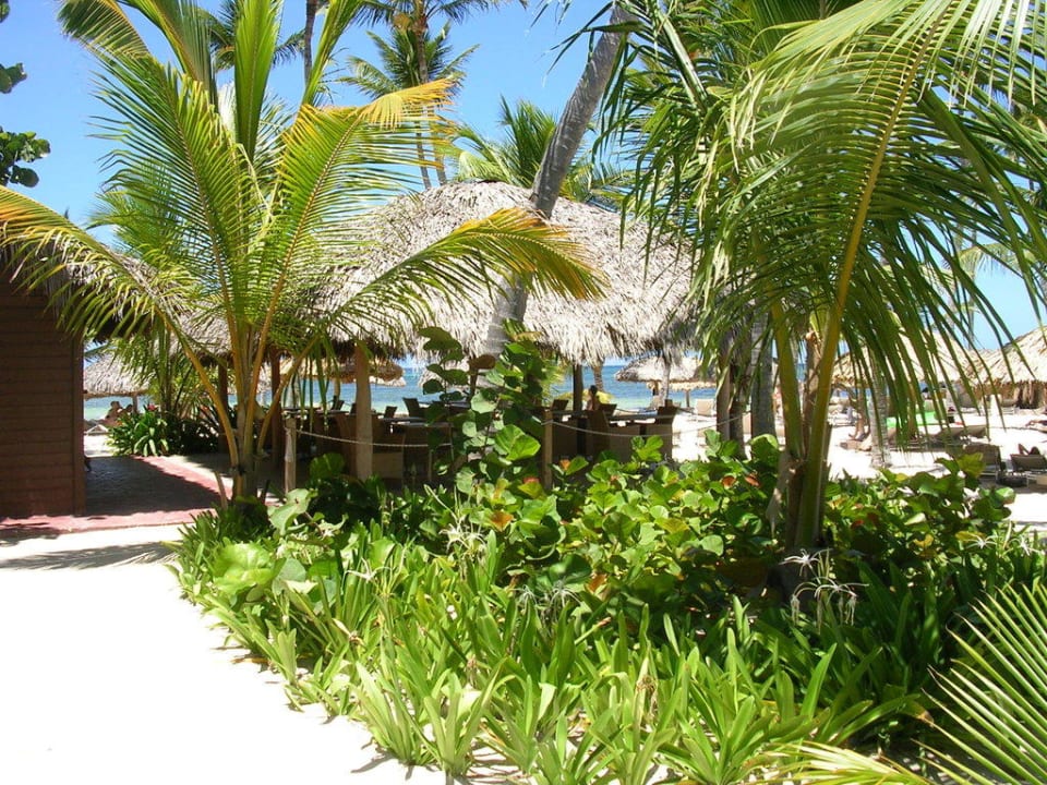 Strandbar im Royal Catalonia Royal Bavaro - Adults only
