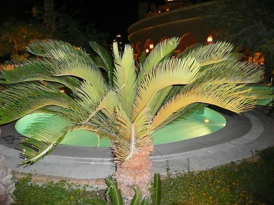 Einfach nur schön Makadi Palace