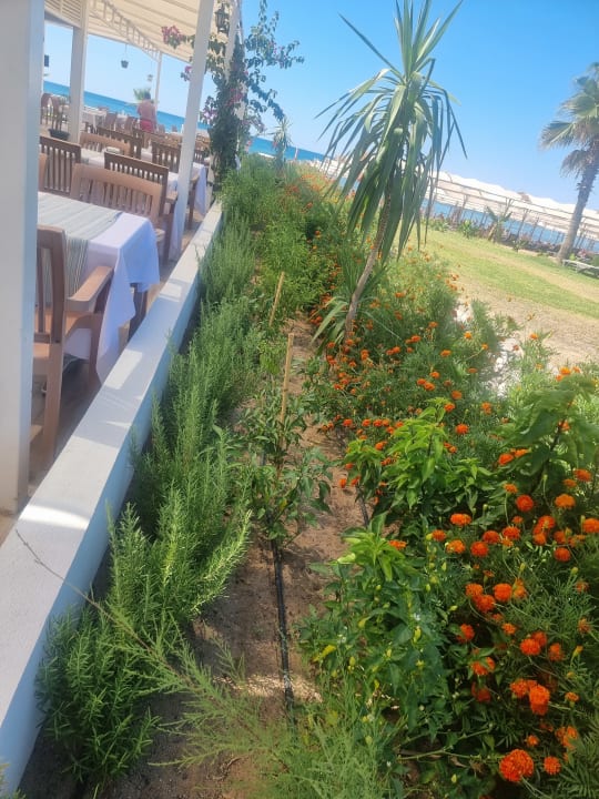 Strand Süral Saray Hotel