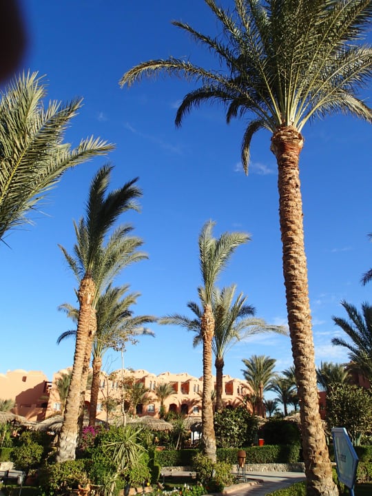 Blick auf´s Hauptgebäude Jaz Makadi Oasis Resort