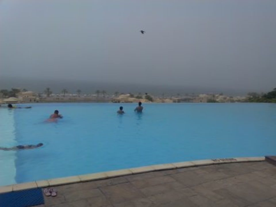 Pool The Cove Rotana Resort